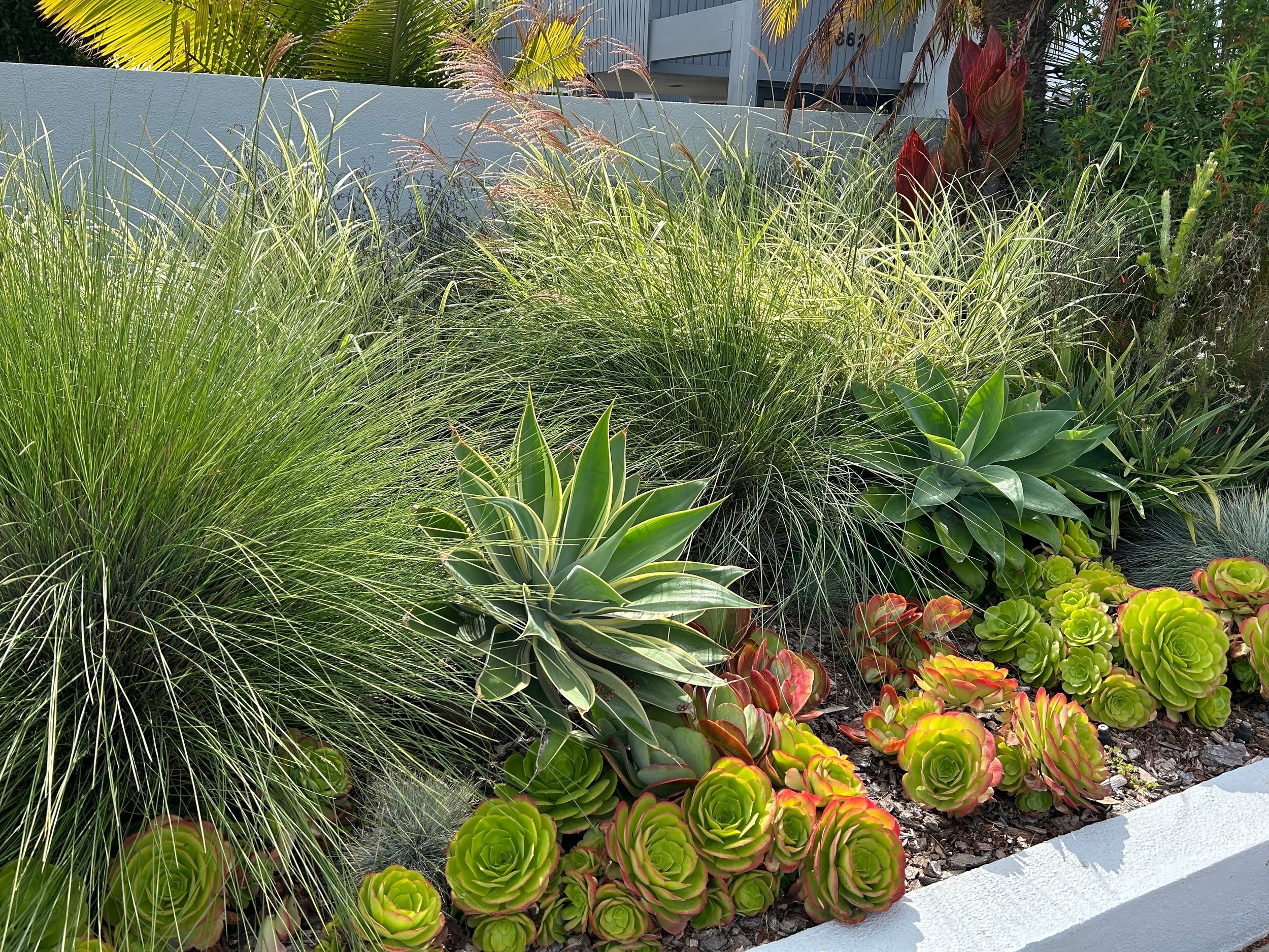 Beautiful landscape in Southern California